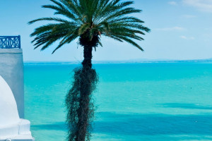 Túnez, Túnez, panorama del mar Sidi Bou Said